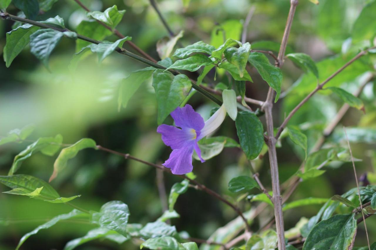 Baridi Villa Kiwengwa  ภายนอก รูปภาพ