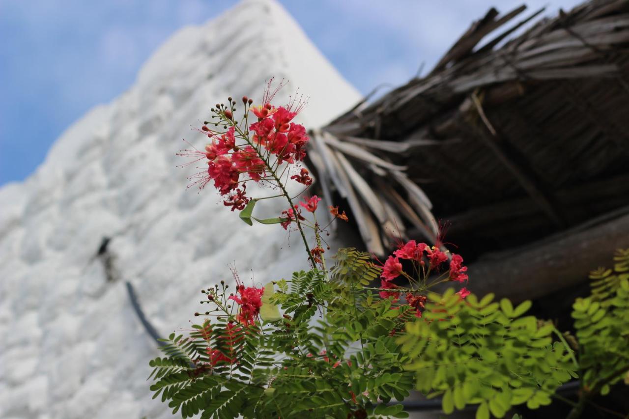 Baridi Villa Kiwengwa  ภายนอก รูปภาพ